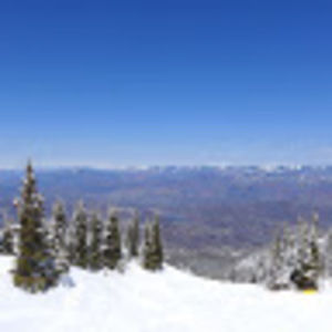 Meet your Posher, Dakota